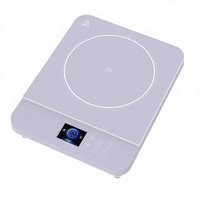 Cuisinière à induction électrique portable à brûleur unique pour usage domestique et hôtelier avec boîtier en plastique et écran couleur