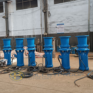 Supply Agricultural Irrigation Large Capacity Electric Submersible Axial Flow Pump 380V-660V 7.5-800kW - Product Image 4