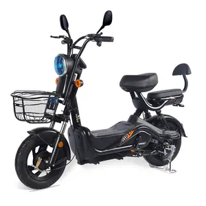 China Factory Sales Electric Bike E-Bike Bicycle for Adult Vehicle Dirt E Bike