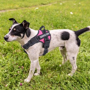 เสื้อกั๊กสำหรับสุนัขสำหรับสุนัขขนาดเล็กกลางและใหญ่ระบายอากาศได้ง่ายสำหรับกลางแจ้ง - Product Image 6