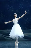 Vestido de Ballet Largo Romántico con Tirantes Finos y Adornos Blancos para Mujer, Disfraz de Bailarina para Representación Escénica de El Lago de los Cisnes