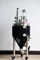 Cuve de fermentation conique mobile en acier inoxydable sanitaire 304/316 de 30 L