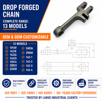 Chaîne de Convoyeur à Grattoirs Forgée par Coulée ISO9001 14001 45001 Gamme Complète Pas de 101.6-260mm Résistance à la Traction 186-700kN Chaîne à Maillons Forgés