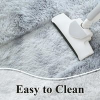 Tapis moelleux pour chambre à coucher, grand tapis d'intérieur en peluche douce pour salon