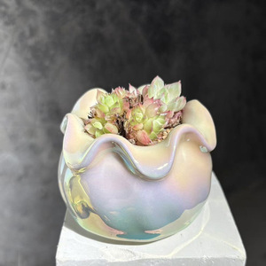 Pot de fleurs durable pour plantes succulentes, design minimaliste, effet arc-en-ciel coloré, pour bureau, petit pot pour plantes vertes, <span class=keywords><strong>cactus</strong></span> et succulentes - Product Image 4