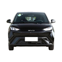 Petite voiture électrique BYD Seagull Dynamic Version 2025 avec une autonomie dynamique de 305km Véhicule à énergie nouvelle