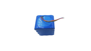 Paquete de Baterías de Iones de Litio EWT 26650 12V 15Ah para Cortacésped - Product Image 5