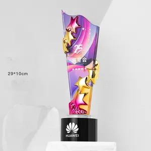 2024 New resin accessory awards customized printing background glass star awards