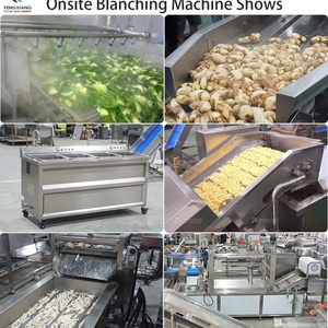 Machine industrielle automatique de blanchiment des fruits et légumes : mangue, épinards, maïs, gingembre, chou - Product Image 4