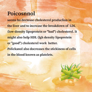 Private Label Beste Prijs Biologische 50Mg Suikerrietwas Alcoholen Octacosanol Policosanol Extract Poedercapsules - Product Image 4