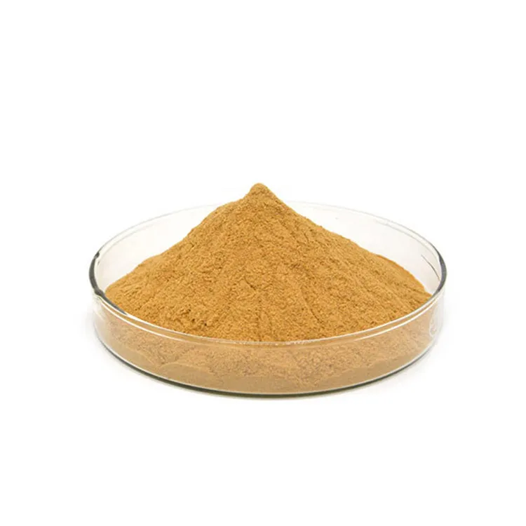 Extrait végétal naturel Coleus Forskohlii extrait de racine poudre 20% 98% Forskolin