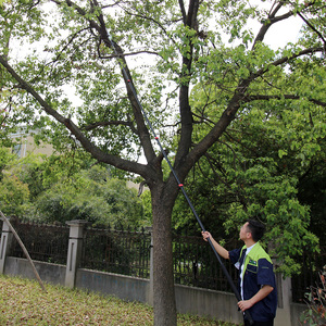 Extentool Dụng Cụ Cắt Tỉa Cột Nhà Sản Xuất Với Lưỡi Cưa Với Tay Cầm Dài Có Thể Thu Gọn Để Cắt Tỉa Cành Cây - Product Image 6