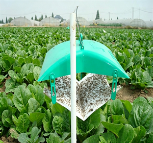Professional Outdoor Hanging Wing <b>Trap</b> with Pheromone Lure for <b>Moth</b> and Flying Insect Monitoring Pest Control in Farms Gardens - Product Image 3