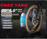 Nouveau Vélo Électrique Fat Tire 20 Pouces OEM, Moteur Haute Puissance 250W1000D, 7 Vitesses, Batterie 15AH, avec Porte-Bagages Arrière