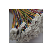 Rakitan Kawat Harness Jst Pemasangan Kabel Konektor 1.0Mm