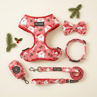 Ensemble de harnais et laisse pour chien et chat, design personnalisé de Noël, respirant, avec bandana réglable