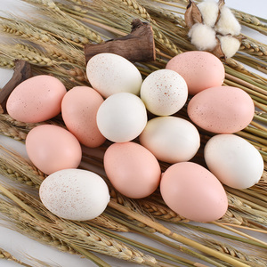 <span class=keywords><strong>Huevos</strong></span> <span class=keywords><strong>de</strong></span> mesa <span class=keywords><strong>de</strong></span> pollo <span class=keywords><strong>artificiales</strong></span> <span class=keywords><strong>de</strong></span> PVC al por mayor huevo <span class=keywords><strong>de</strong></span> avestruz blanco juguete para fiestas infantiles jardines <span class=keywords><strong>de</strong></span> Navidad y ocasiones - Product Image 2