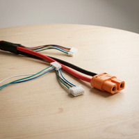 Câble XT60 personnalisé, faisceau de câbles avec connecteur XT60