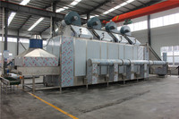 Lijie Fabrieksprijs Lage Energie Verbruikende Dadeltransportband Continue Droogmachine/Fruitdroger met PLC & Motor 380V CE Gecertificeerd
