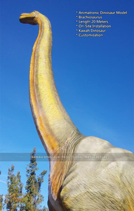 Kawah Dinosaur Park Proyecto Introducción Chile <span class=keywords><strong>Santiago</strong></span> Forest Park Showcase - Product Image 2