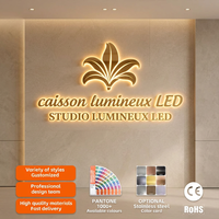 Enseignes personnalisées rétroéclairées avec LED 3D, bandes LED rétroéclairées, enseignes de magasin en acrylique et acier inoxydable, signalétique lumineuse pour entreprises