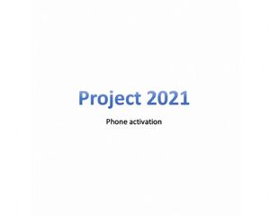 Activation de serveur téléphonique Huidan Enterprise Project Professional 2016/2019/2021 <span class=keywords><strong>pour</strong></span> logiciel de bureau, livraison en ligne disponible - Product Image 5