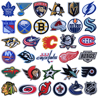 Écussons brodés avec logo de la Ligue Nationale de Hockey des États-Unis, à coudre sur les vêtements, les jeans, les vestes, les chapeaux, les badges