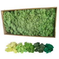 Pôle de mousse de lichen islandais écologique 500g de mousse éternelle fraîche conservée pour la décoration de la maison pour la remise des diplômes de la Saint-Valentin