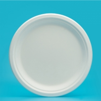 Assiettes à pizza bagasse incassables au design personnalisé, plateau ou assiette à compartiment jetable pour servir le barbecue