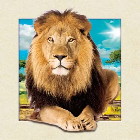 Nuovo disegno 3d stereo immagini di 3d lion immagine