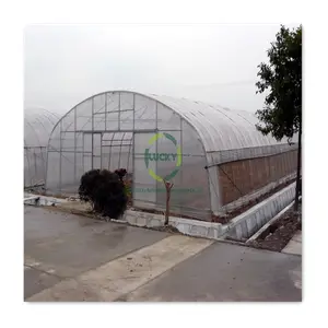 Сельскохозяйственная устойчивая к атмосферным воздействиям Палатка Зеленый дом политуннель пластиковый туннель Pe Однопролетная маленькая теплица для продажи
