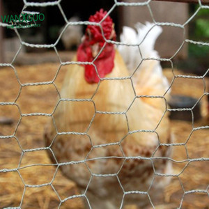 Yüksek kaliteli galvanizli demir tel kaynaklı 1/<span class=keywords><strong>2</strong></span> "açılış yeşil renk 1.2m yükseklik altıgen dikenli tel tavuk için kolayca monte - Product Image 5