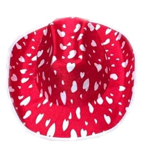 Cappello da Cowboy <span class=keywords><strong>di</strong></span> Halloween con design nuovo cappello da Cowboy con design nuovo cappello da festa per festa <span class=keywords><strong>di</strong></span> festa all'aperto da uomo progettato all'ingrosso della fabbrica - Product Image 2