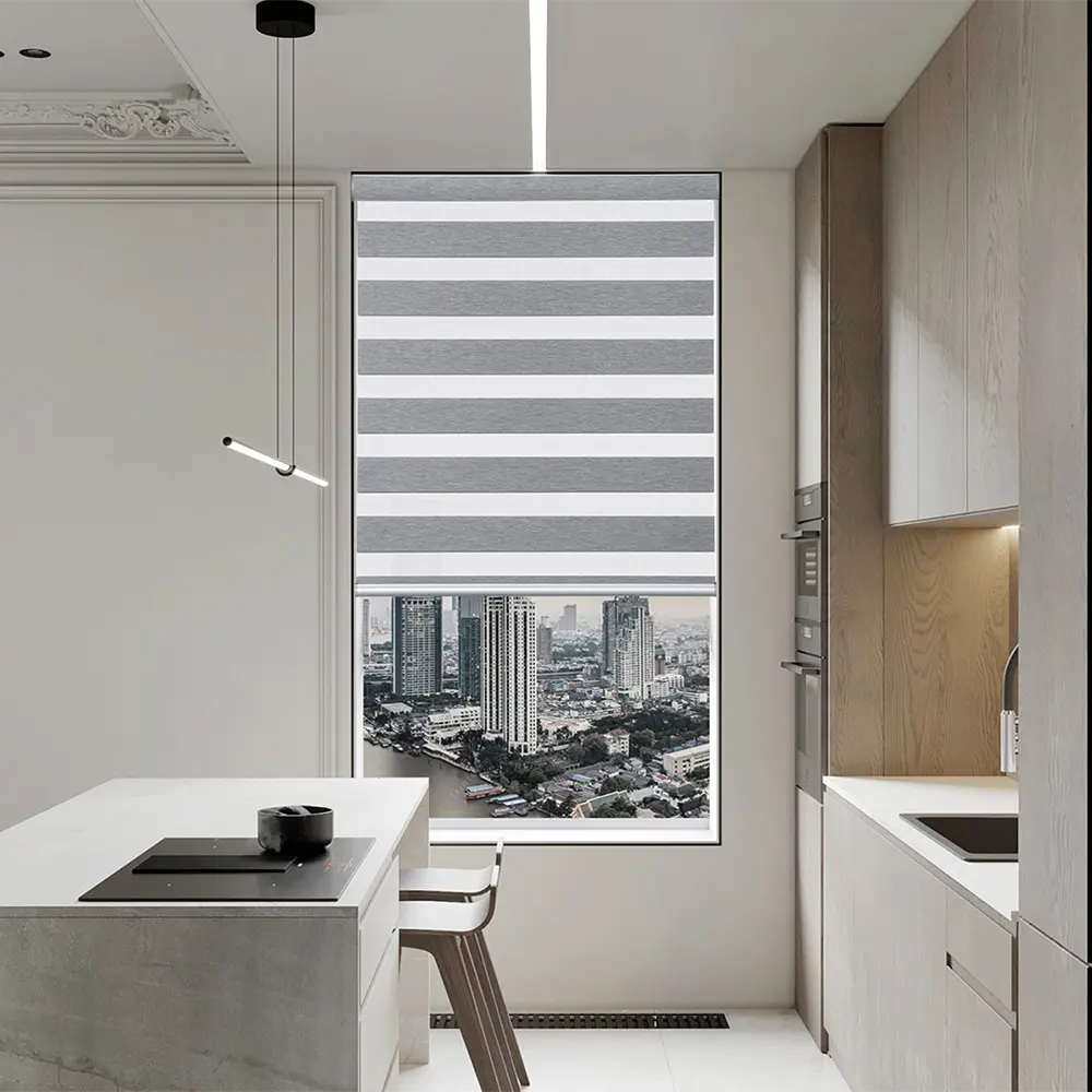 Modern Design Blackout Dual Shade Motorized For Home Decoration Zebra Blinds