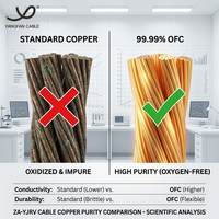 Cable de Alimentación Flexible Retardante de Llama Cu/XLPE/PVC 0.6/1kV con Aislamiento XLPE y Cubierta de PVC, Cable de Cobre para Protección Contra Incendios en Edificios