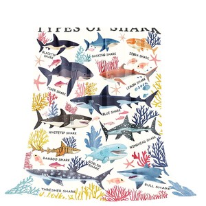 Couverture en flanelle motif requin corail océanique, couverture de sieste ultra douce, lavable en machine pour lit, canapé, fauteuil, impression personnalisée OEM ODM - Product Image 5