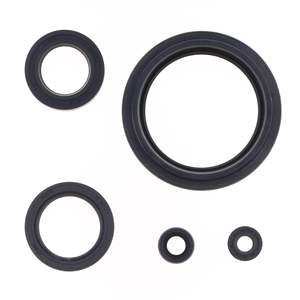 Kit de juntas de aceite - Product Image 2