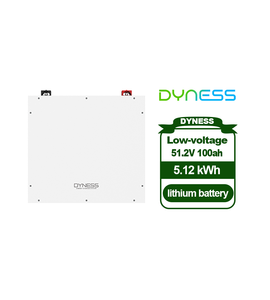 Sistema di Accumulo Energetico Domestico Dyness 5KW 10KW Off-Grid con Batteria al Litio LiFePO4 per Energia Solare, Area di Applicazione 20~55 ° C - Product Image 1