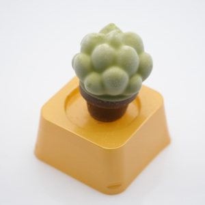 Crème glacée en forme de succulente, saveur fruitée, nouvelle arrivée, certifiée Halal, durée de conservation de 18 mois, en boîte – Meilleure vente - Product Image 1