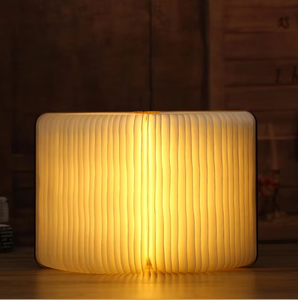 Clip magnétique sur lampe de lecture LED rechargeable USB veilleuse de bureau pour livres chambre cadeaux d'entreprise en gros - Product Image 6