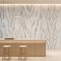Panneau de fond en PVC avec revêtement UV, effet marbre, finition brillante, imperméable, imprimé à veines fines, bordure découpée, pour salle de bain et salon