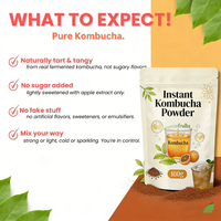 Poudre de Kombucha OEM, Poudre de Thé Kombucha Biologique, Poudre de Kombucha Instantanée pour Boissons
