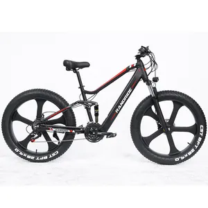 RANDRIDE Free Shipping 26 Inch E Bikes Shimano Hydraulic Disc Brake Full Suspension Fat Tire 1000watt Electric Bicycle Germany