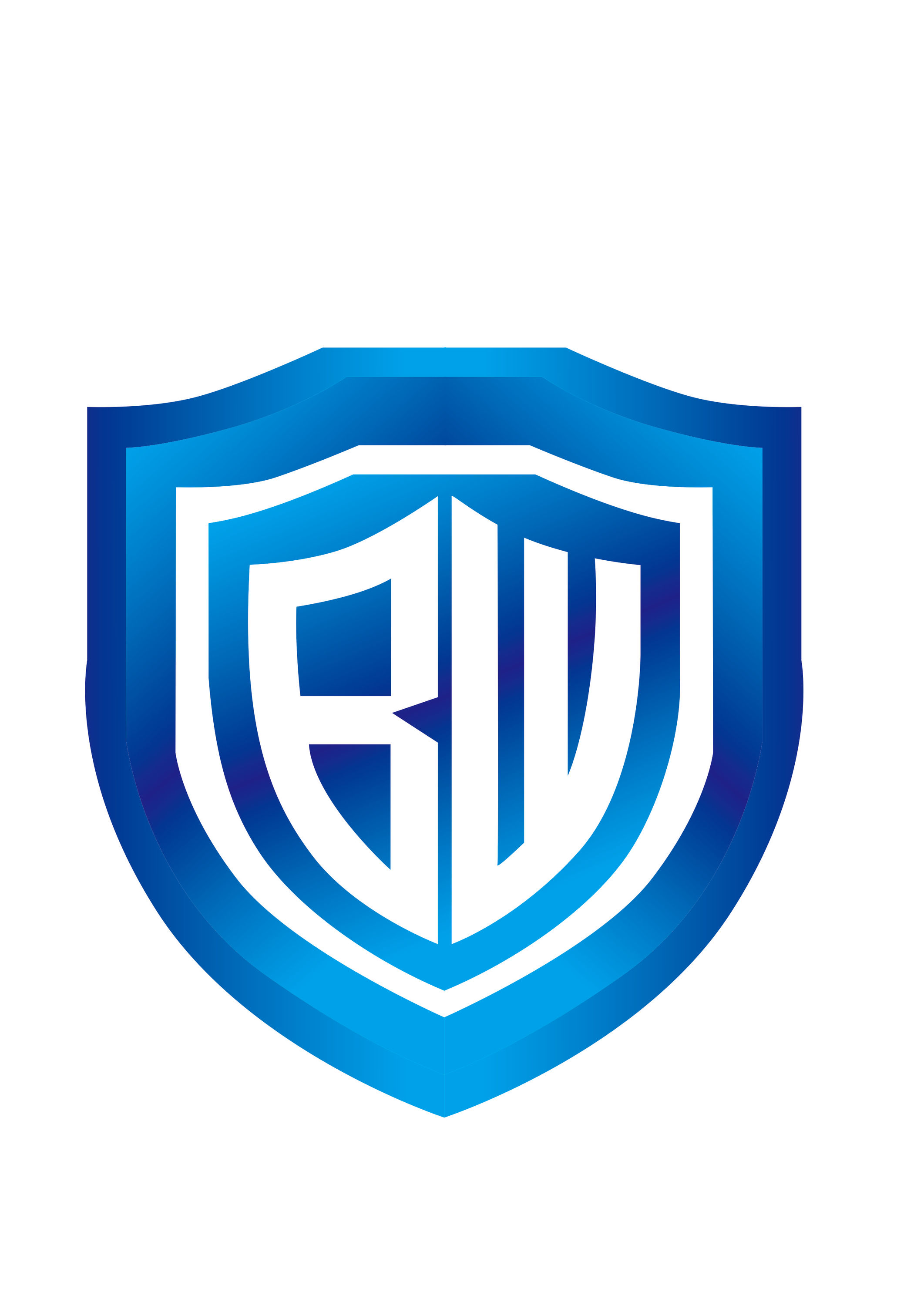 Zhejiang Baiwei Electric Co., Ltd. logo