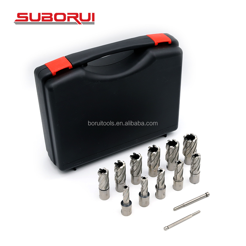 SUBORUI in Stock 13PCS HSS Metric