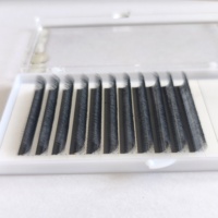 Extensions de cils en U W6D de haute qualité, cils denses 0,07 mm C CC D L M LC LD LB, marque privée