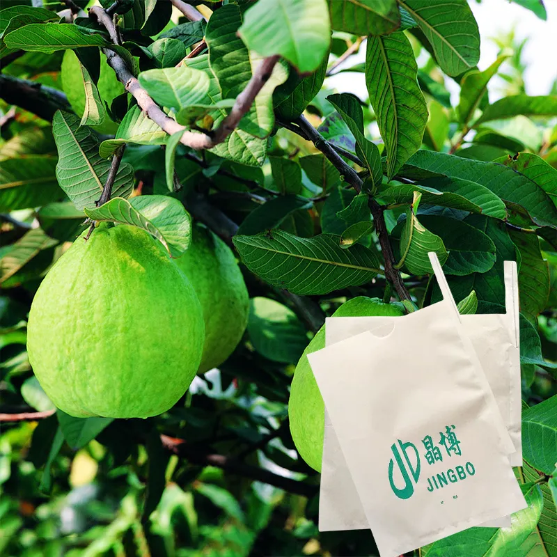 Low-Price Wholesale Fruit Guava Protective Growing Wrapping Paper Bag For Fruits And Vegetables