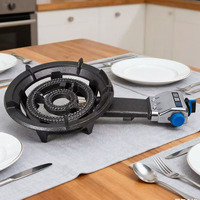 Fourniture d'usine Camping Commercial Cuisinière À Gaz Brûleur 31A Fonte Haute Puissance Électronique En Plein Air Usage Domestique Support De Table