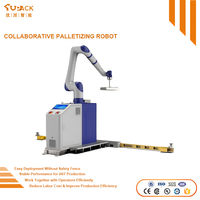 Robot Collaboratif Entièrement Automatique pour la Palettisation, à Haute Vitesse et Fonctionnement Stable, pour l'Automatisation des Usines Agroalimentaires