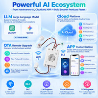 Module Compagnon IA AISK pour Jouets en Peluche, Robots d'Apprentissage, Maison Intelligente, Bureau et Santé – Produit avec Chat Vocal IA LLM OEM ODM